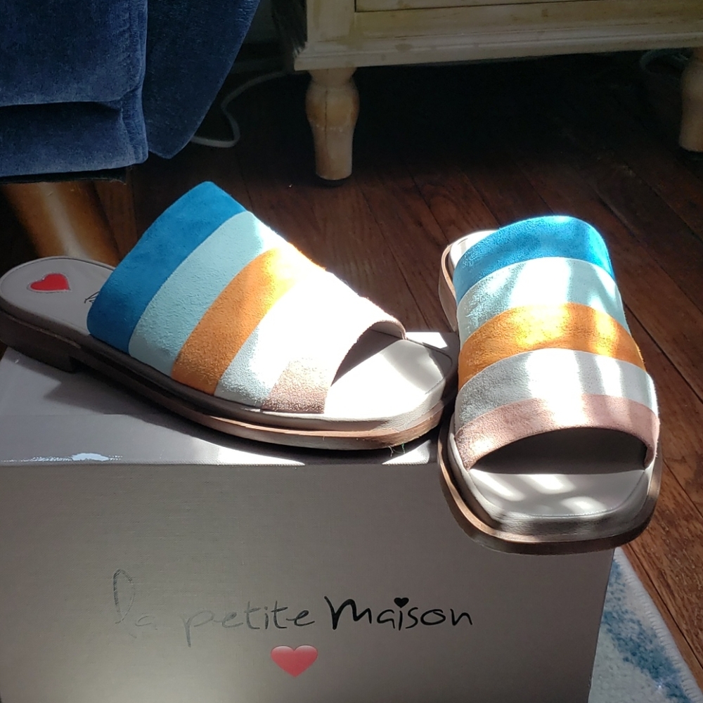 A pair of genuine leather multicolor Italian shoes